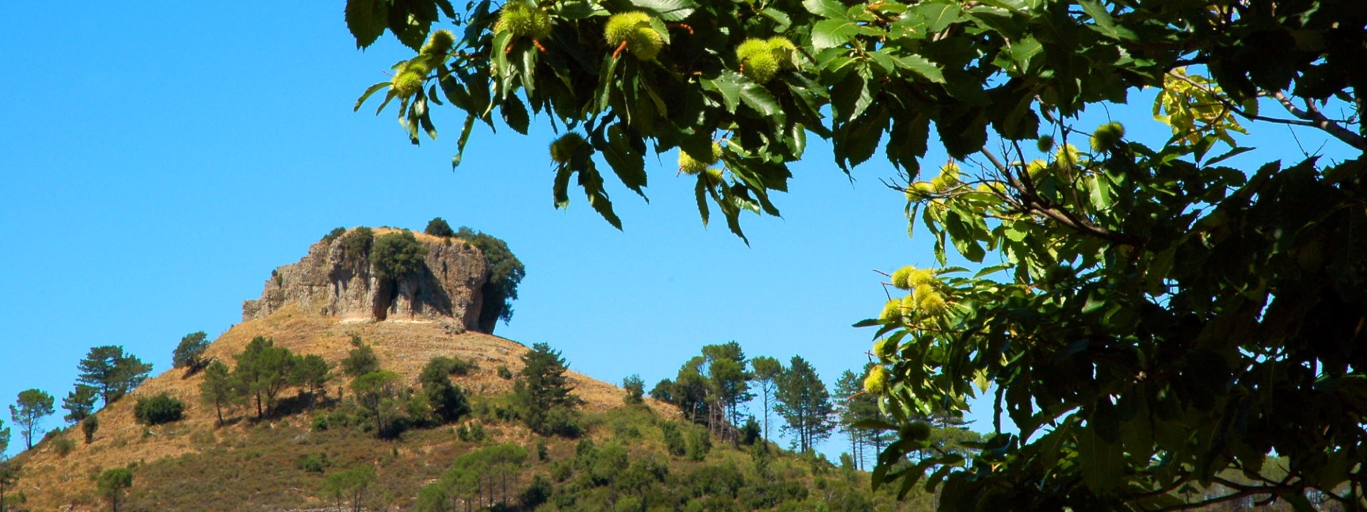 Aritzo, Su Texile e le castagne