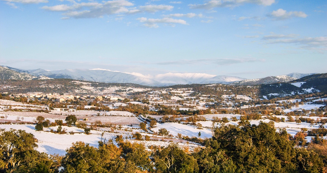 Atzara, paysage avec vignes enneigées