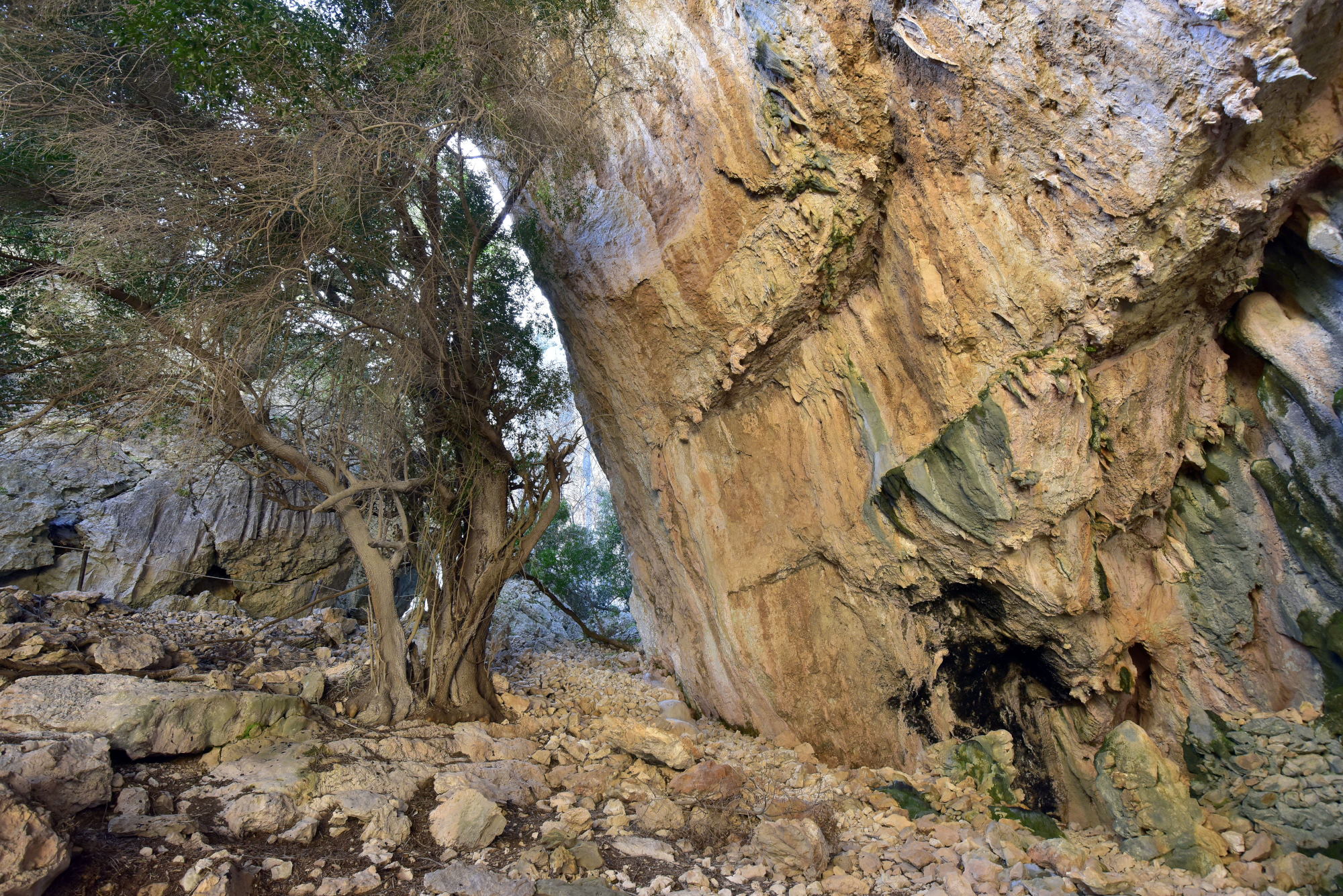 Dorgali, Tiscali - © Ivo Piras