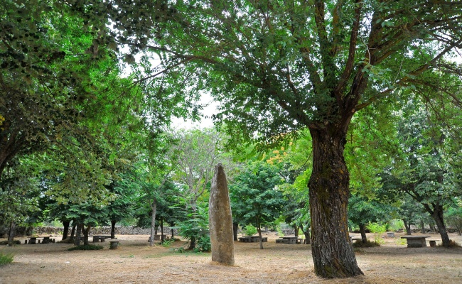 Gavoi, parco Sa Itria. Menhir