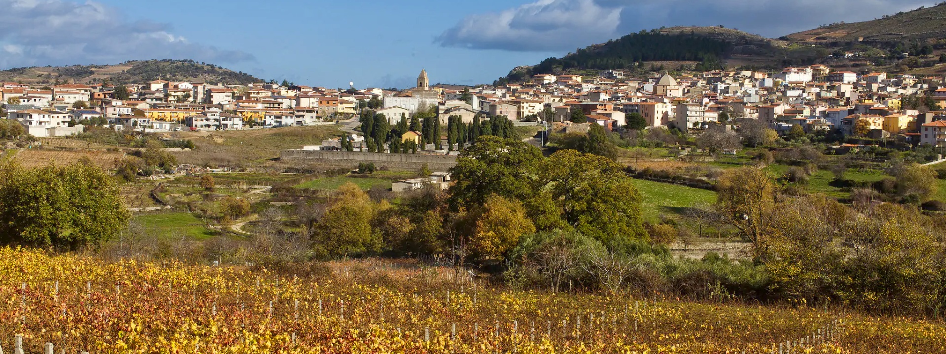Panoramica del paese