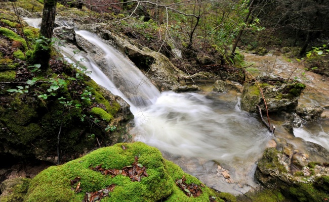 Meana Sardo, foresta Ortuabis