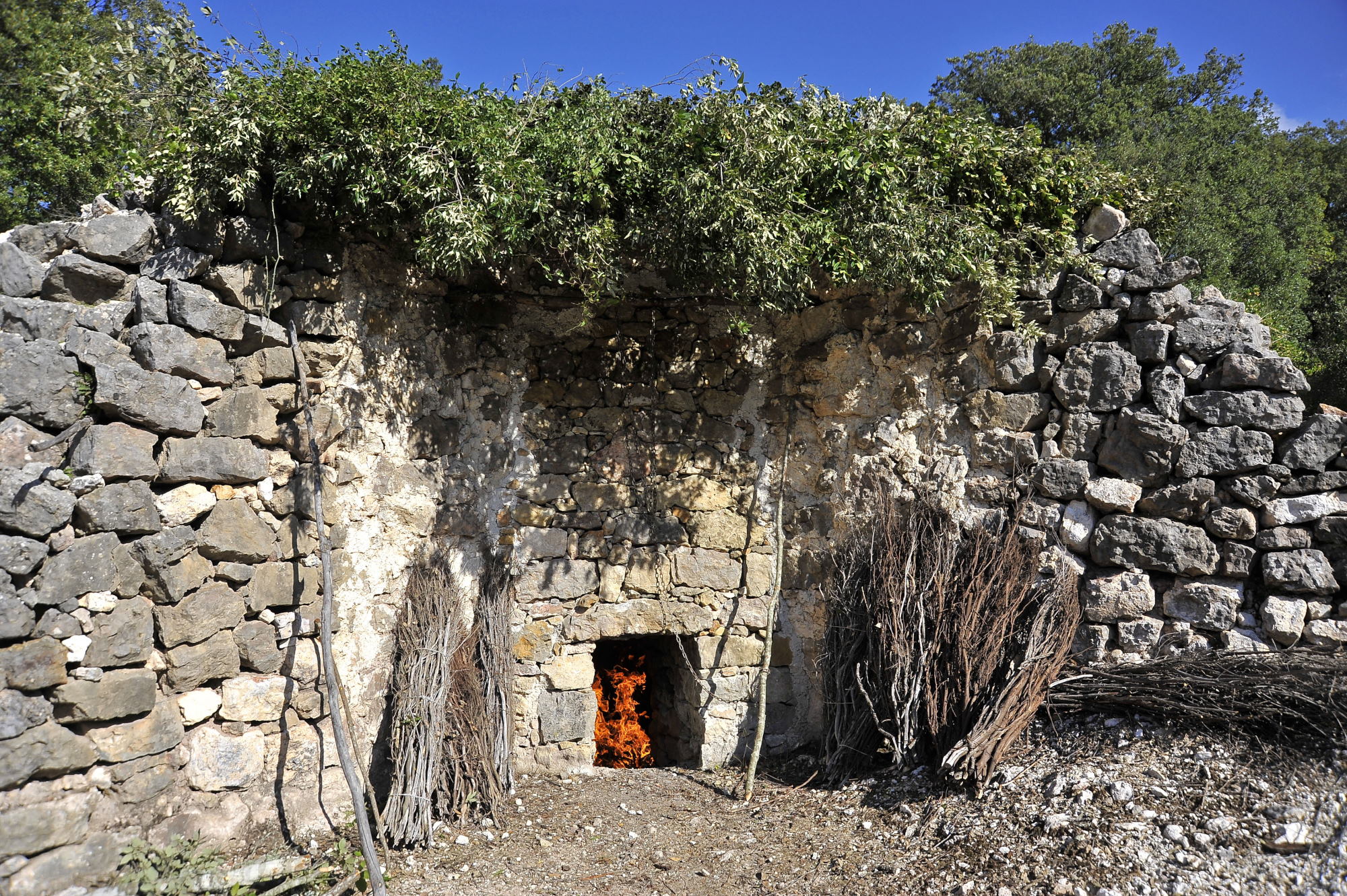 Meana Sardo, foresta Ortuabis. Fornace per la calce - © Ivo Piras