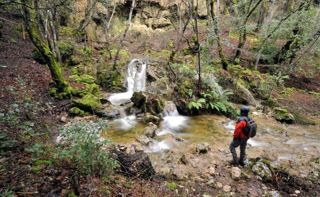 Meana Sardo, Su Cumonali