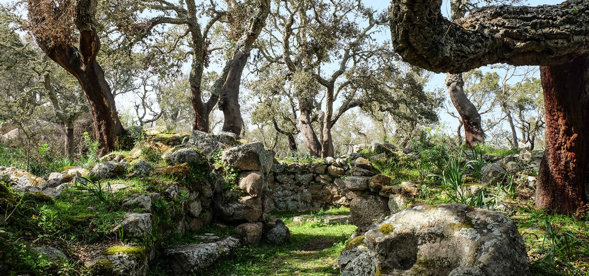 Nuoro, Noddule. Runde Hütte