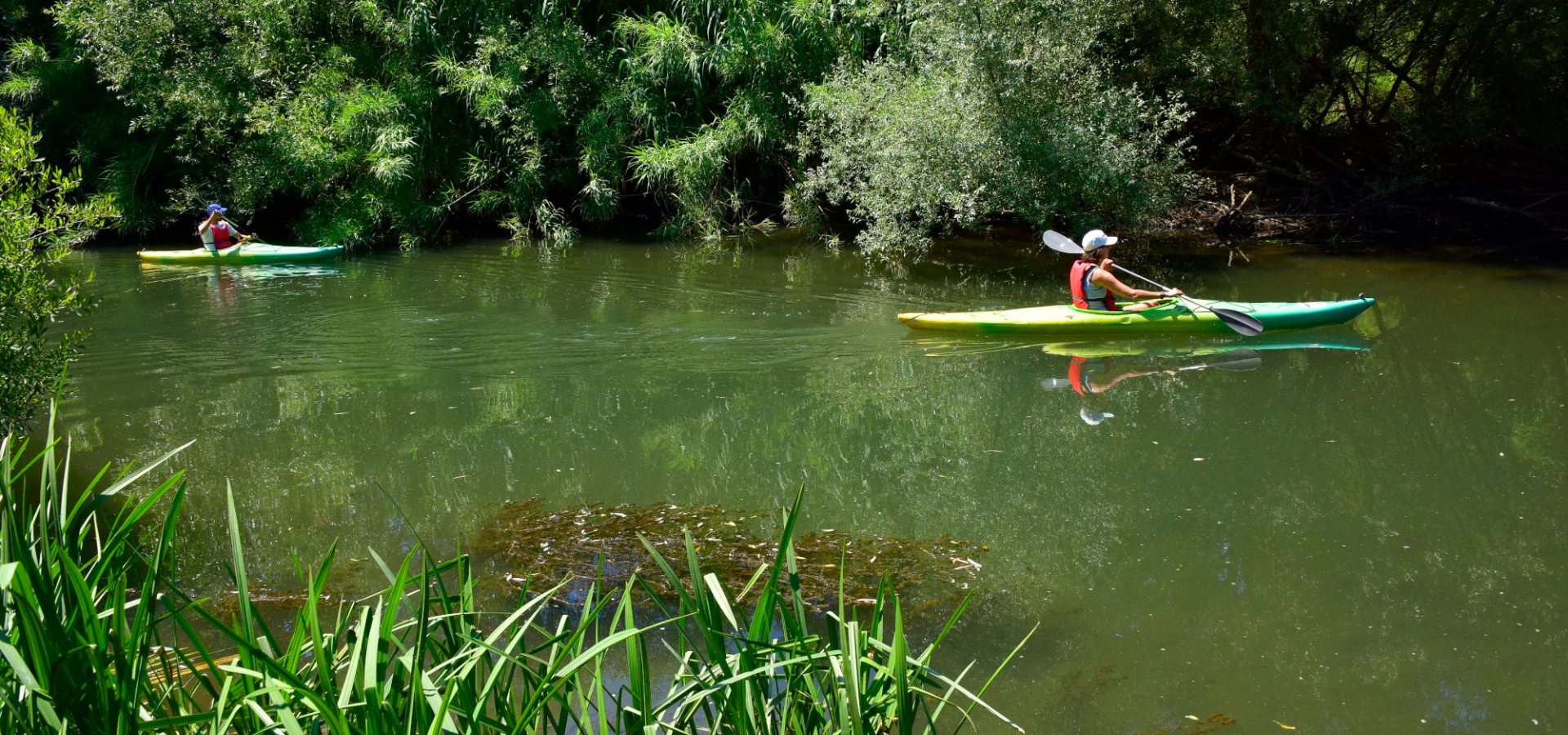Oliena, kayaking on the Cedrino river