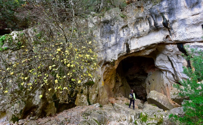 Oliena, Sa Oche cave