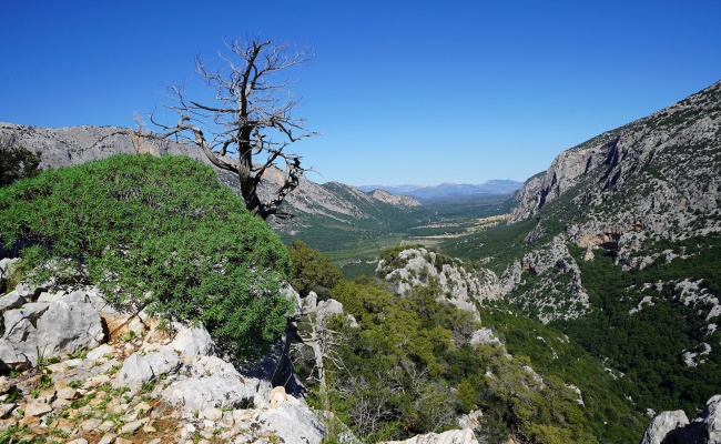 Oliena, Lanaitho valley