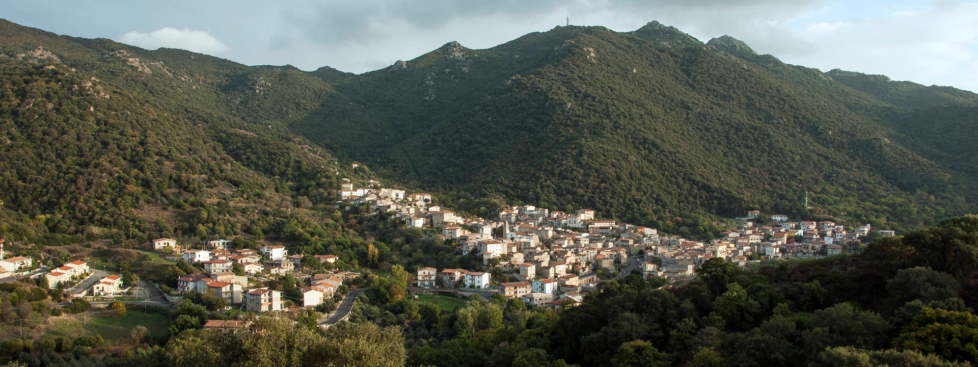 Olzai, Überblick über die Stadt