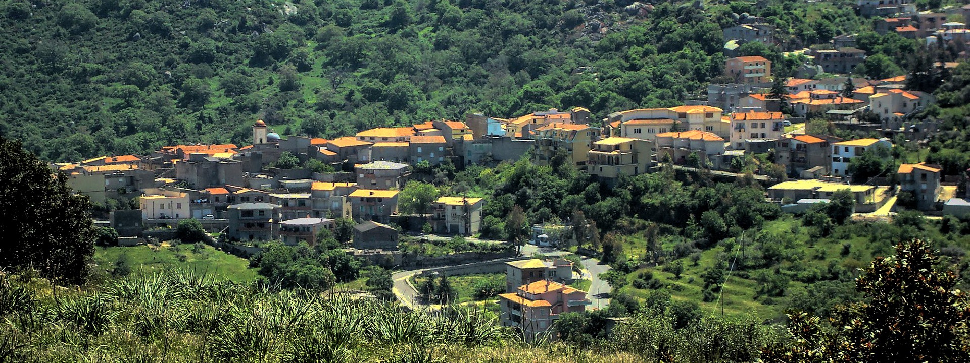 Oniferi, scorcio del paese