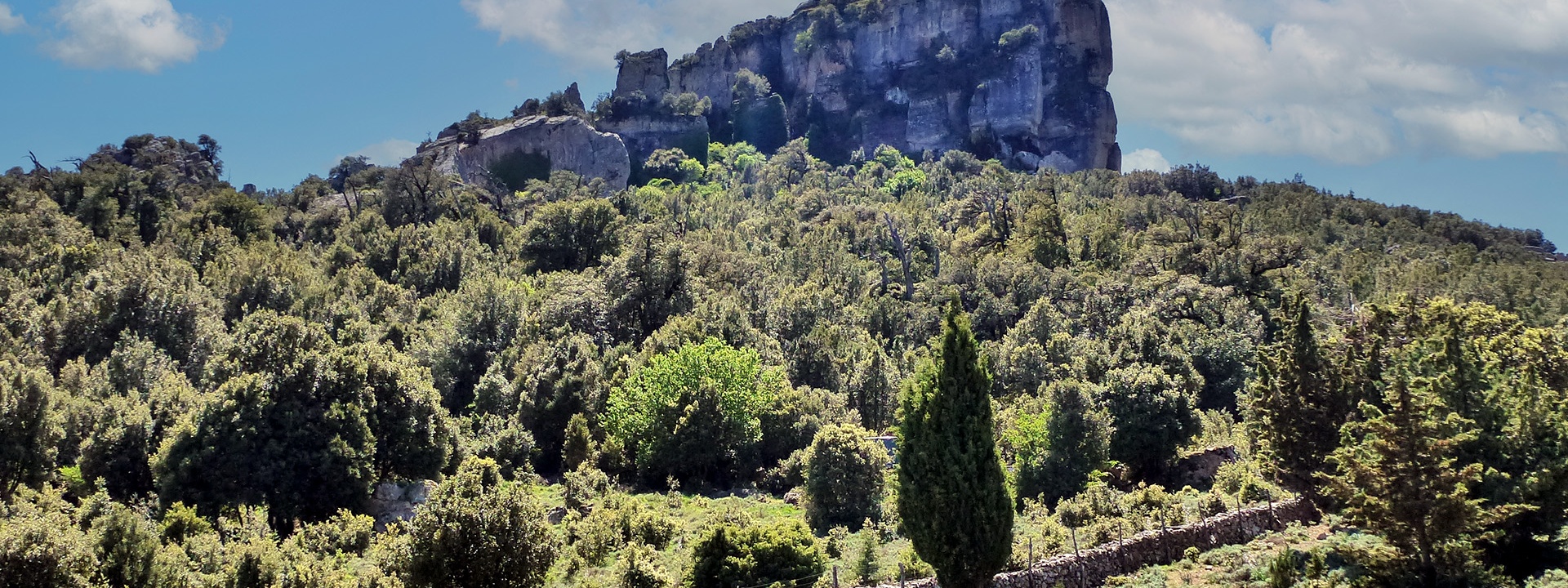 Orgosolo, foresta di Montes