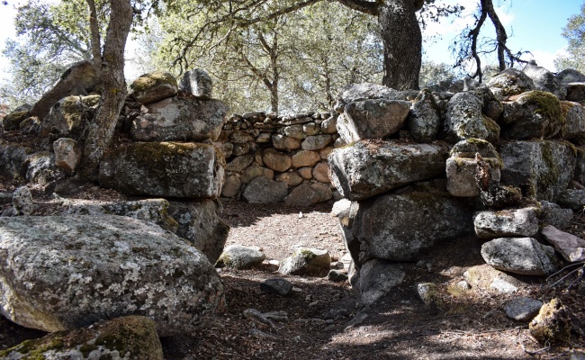 Orune, Sant'Efis. Cabane nuragique