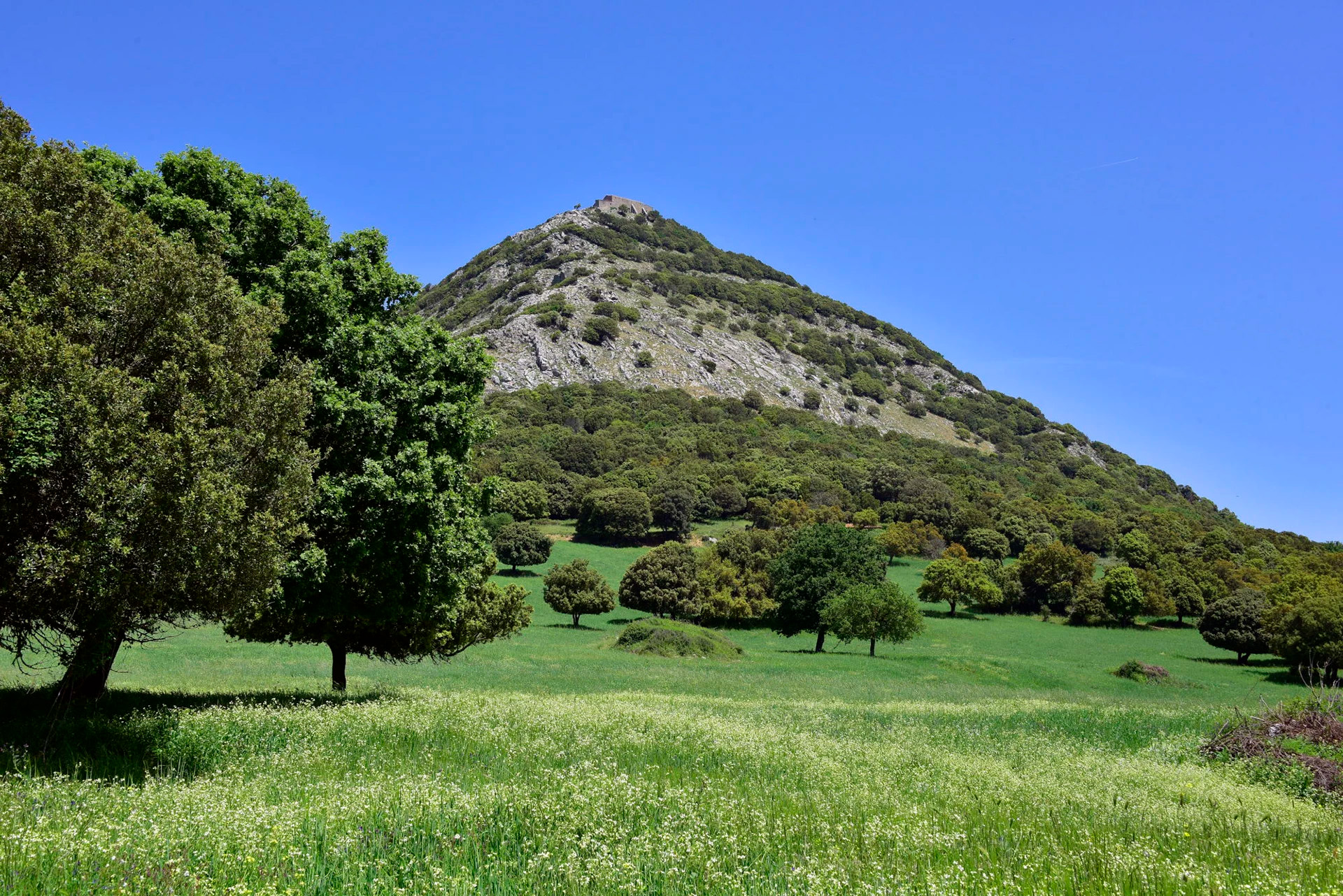 Sarule, Monte Gonare - © Ivo Piras