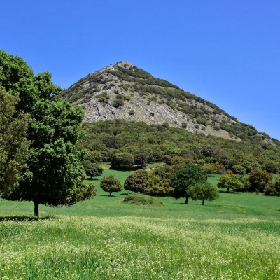 Sarule, Monte Gonare - © Ivo Piras