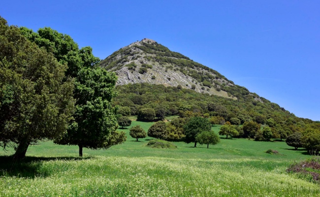 Sarule, Gipfel des Monte Gonare