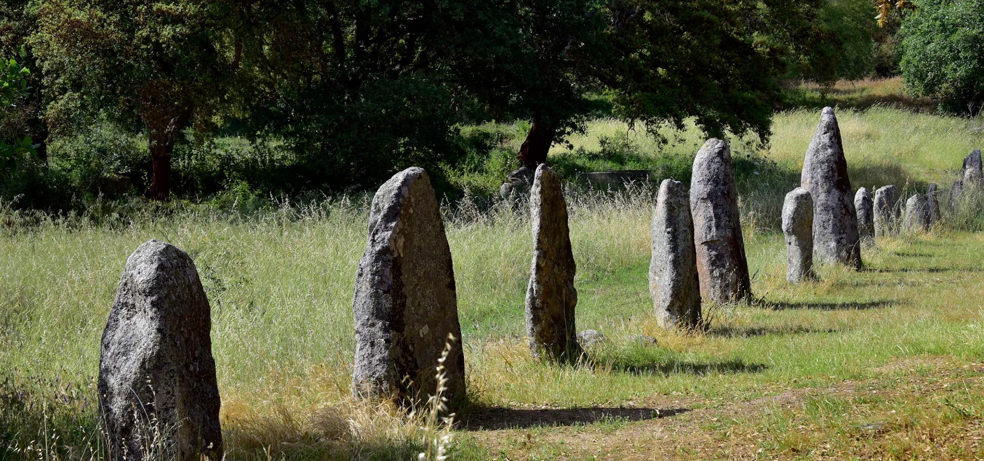 Sorgono, Biru 'e Concas. Alignment of menhirs