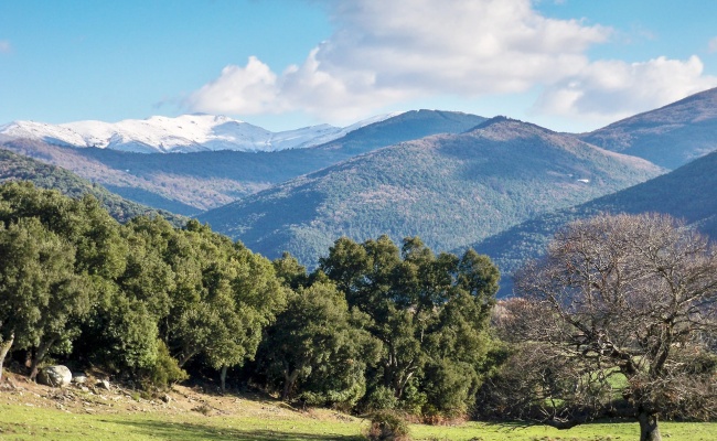 Tiana, vista del Gennargentu