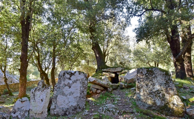 Villagrande Strisaili, Sa Carcaredda