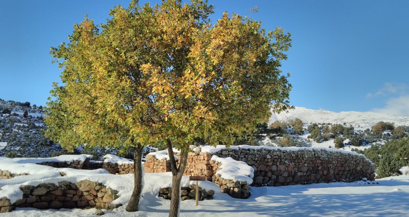 Villagrande Strisaili, s'Arcu 'e ist Forros schneebedeckt