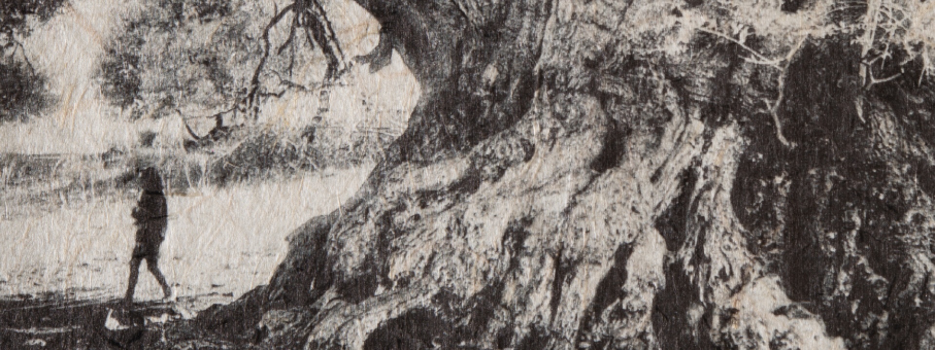 Dorgali | Radici- fotografie di Angelo Mereu