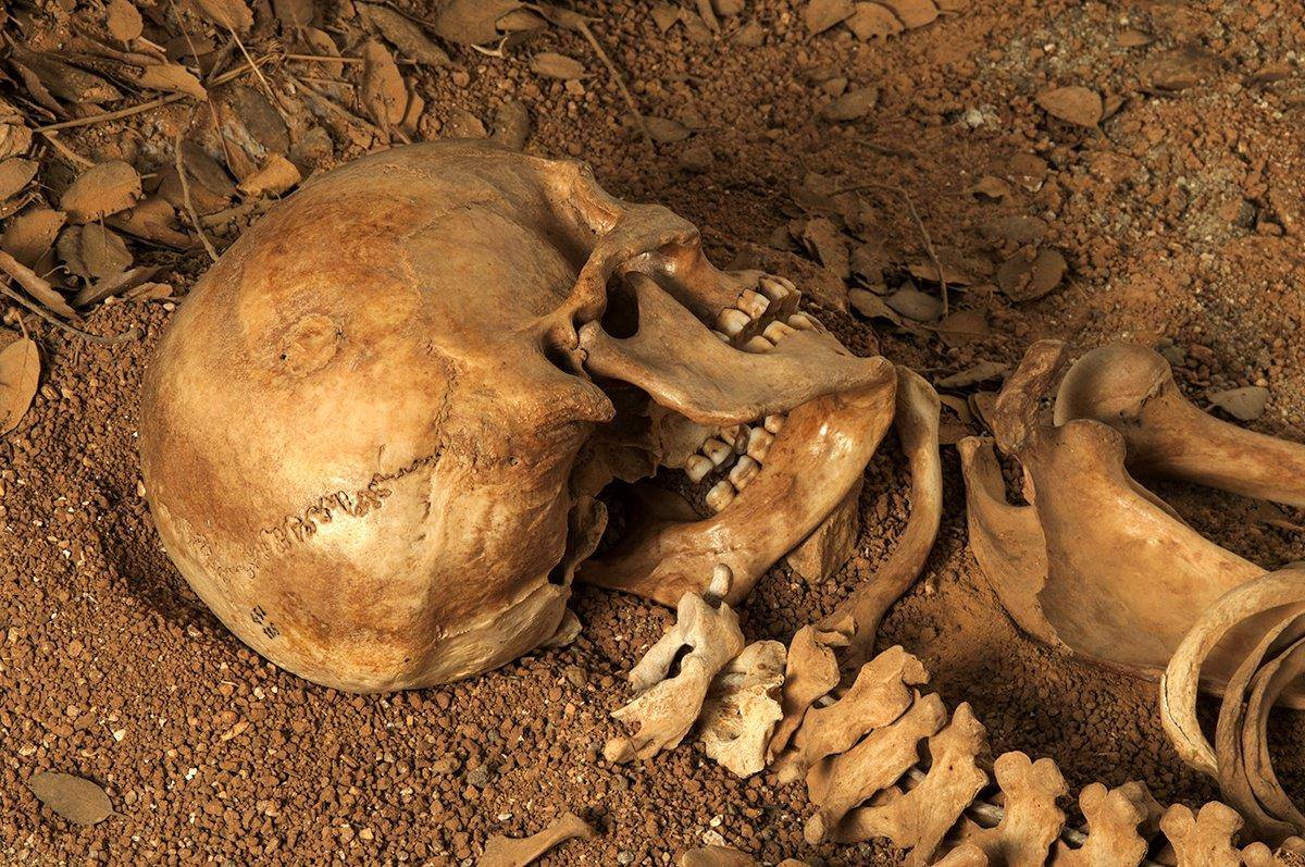 Sisaia, donna vissuta nella prima età del Bronzo (2200-1800 a.C.). Testimonia la più antica trapanazione cranica riuscita in Sardegna. - @ Direzione regionale Musei Sardegna