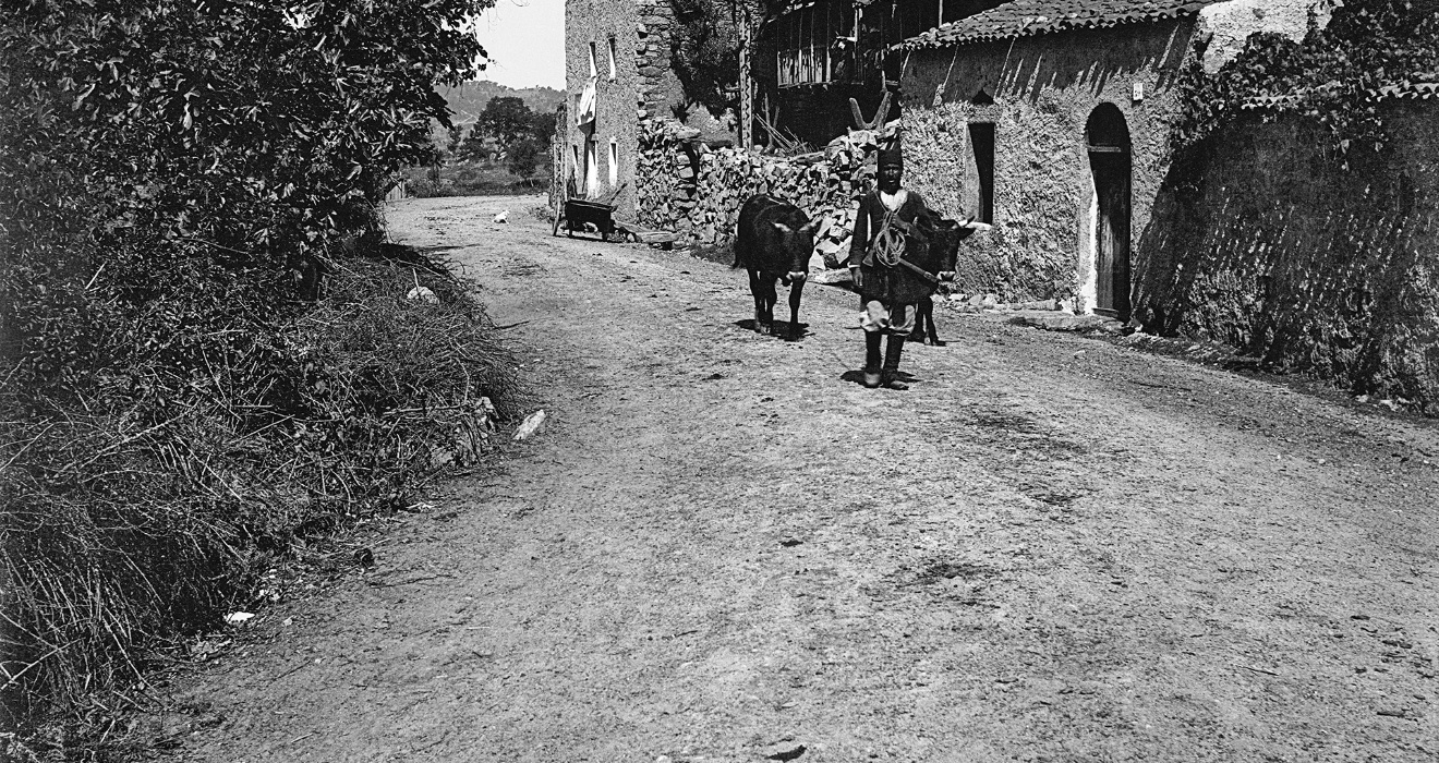 Barbagia, farmer with yoke of oxen, 1905-06