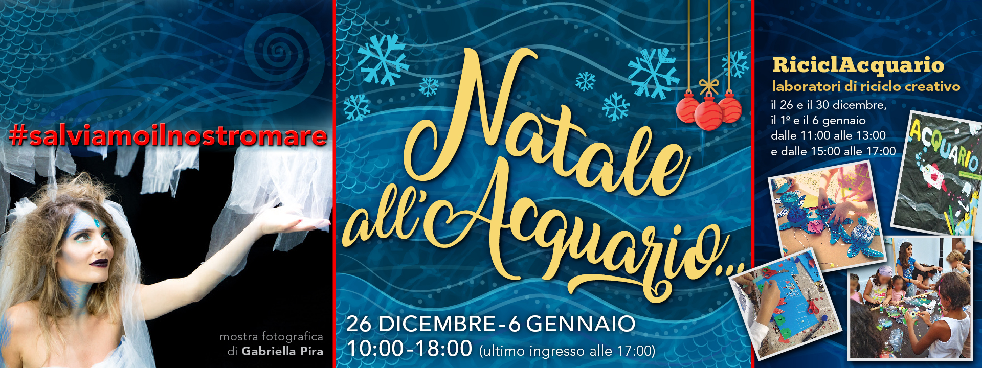 ACQUARIO CALA GONONE | NATALE ALL'ACQUARIO