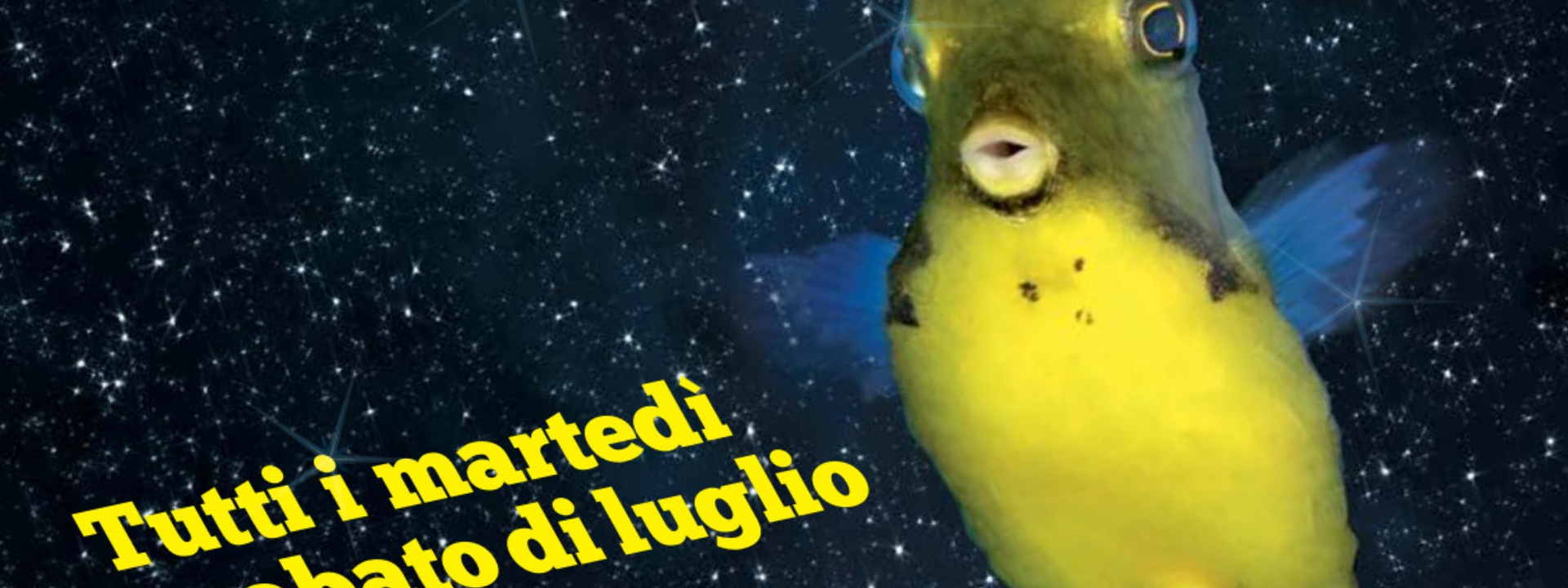 ACQUARIO CALA GONONE| NOTTI ALL'ACQUARIO