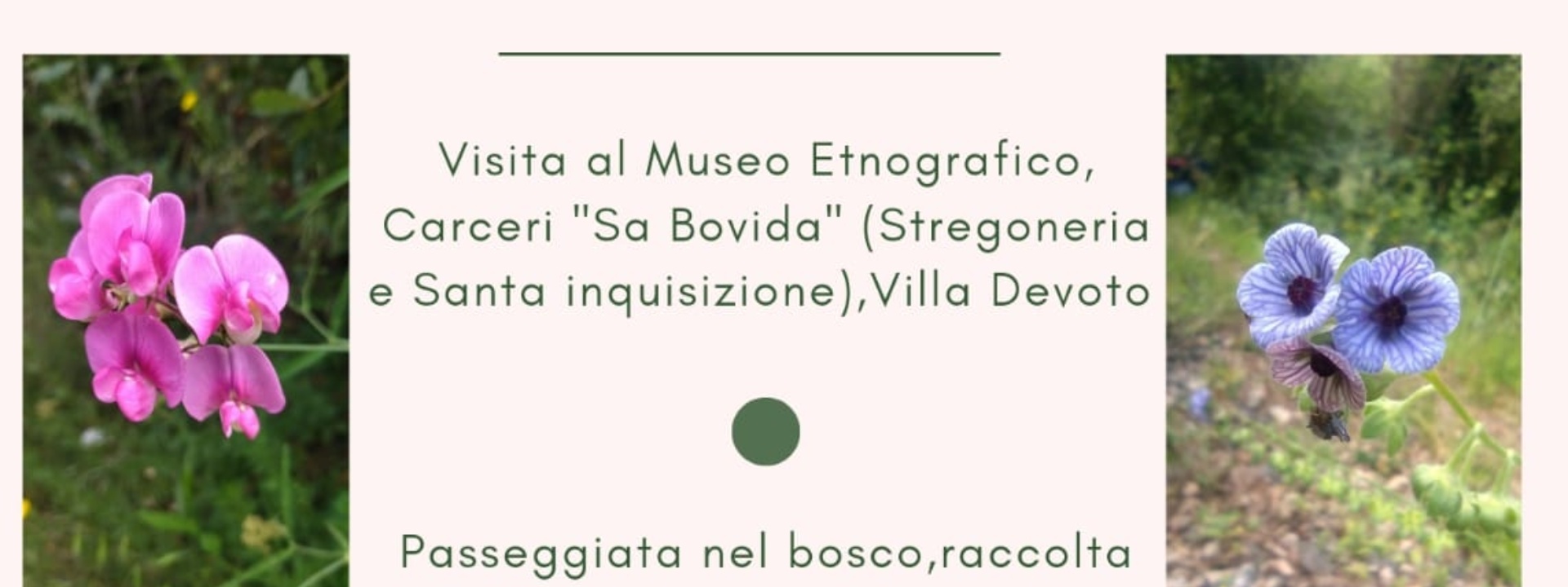 20-21 luglio 2024 | sintonia naturale, Aritzo: natura, storia e tradizioni