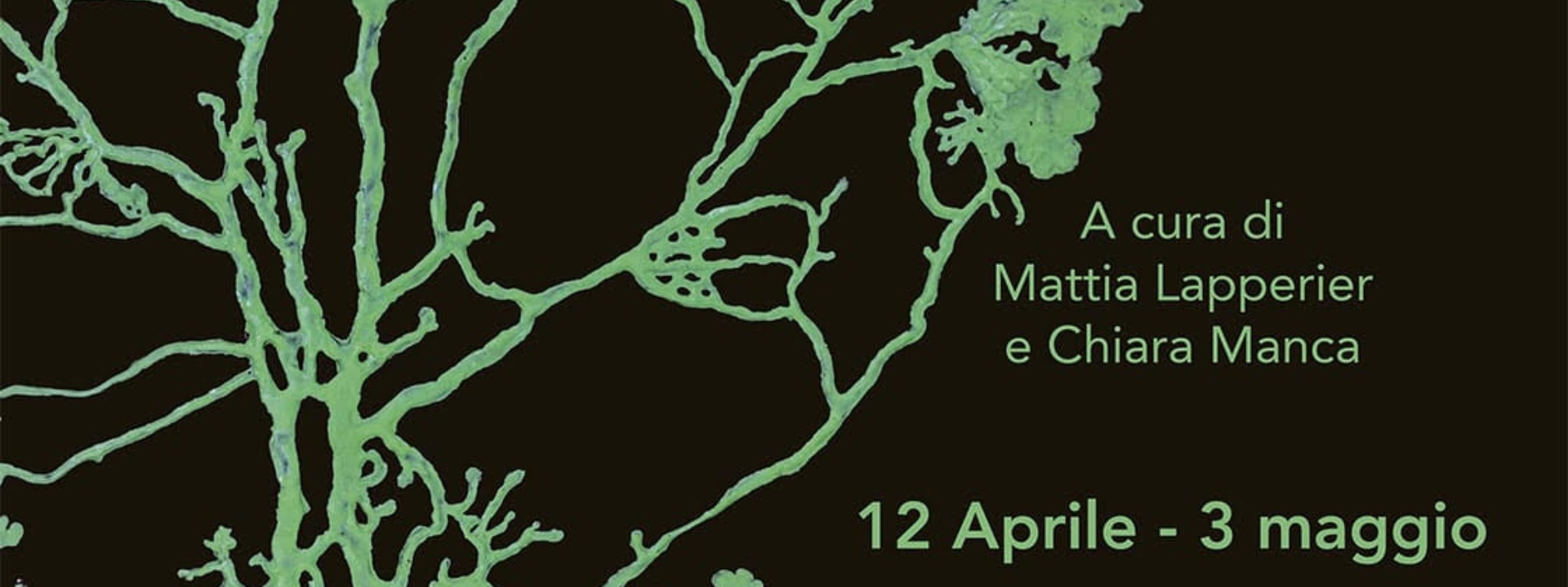 MancaSpazio | Geometrie essenziali