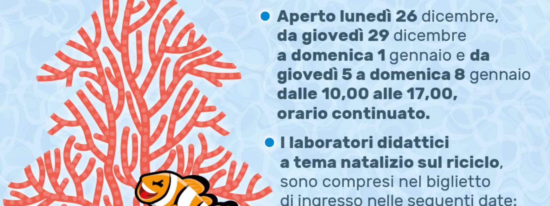 ACQUARIO CALA GONONE | NATALE ALL'ACQUARIO