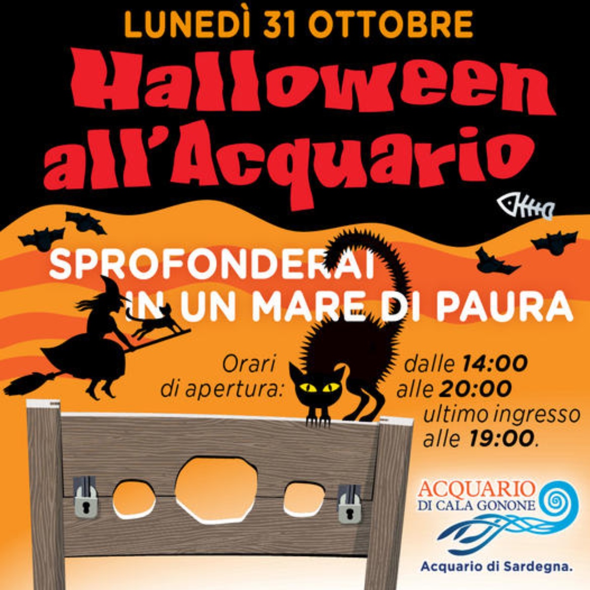 Visualizza la sezione: ACQUARIO CALA GONONE |HALLOWEEN