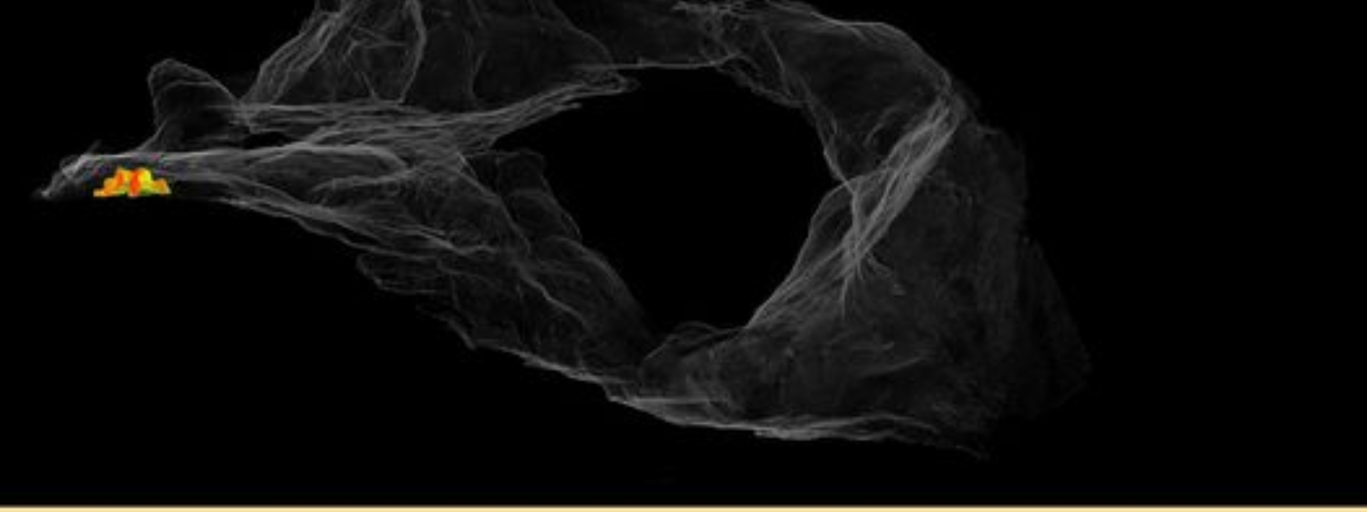 Museo Archeologico di Nuoro G. Asproni | Viaggio al centro del Museo