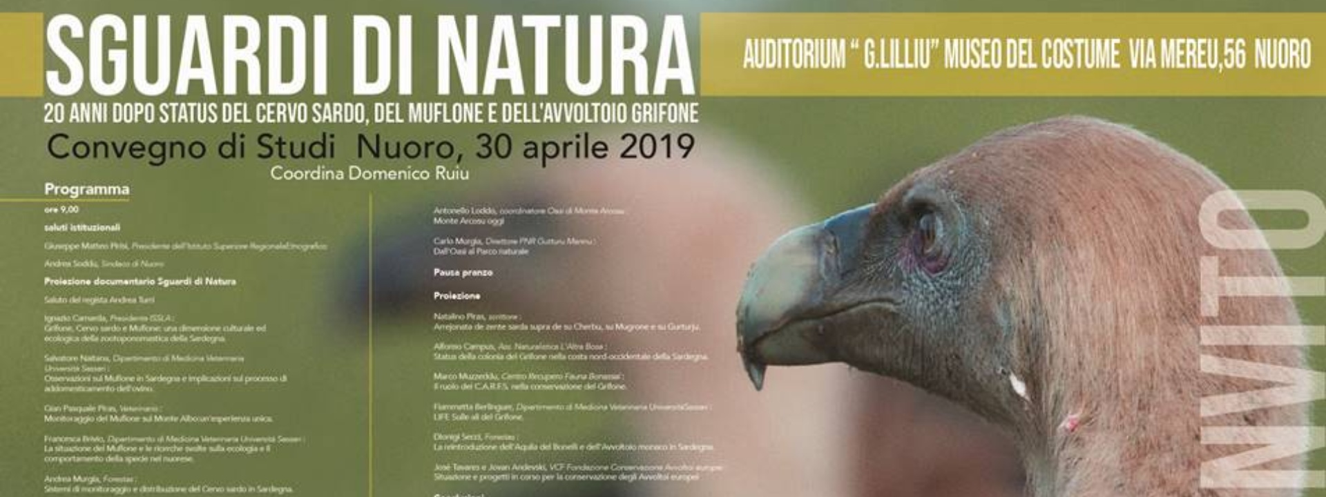 ISRE | SGUADI DI NATURA – VENT'ANNI DOPO, STATUS DEL CERVO SARDO, DEL MUFLONE E DELL'AVVOLTOIO GRIFONE