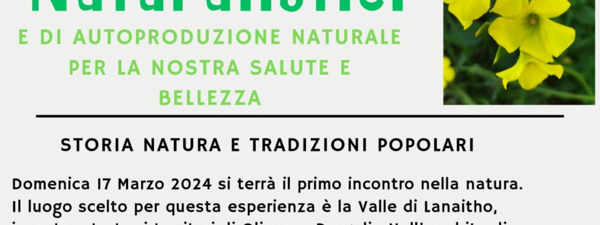 NOORAGHE SRL | PERCORSI NATURALISTICI DOMENICA 17 MARZO 2024