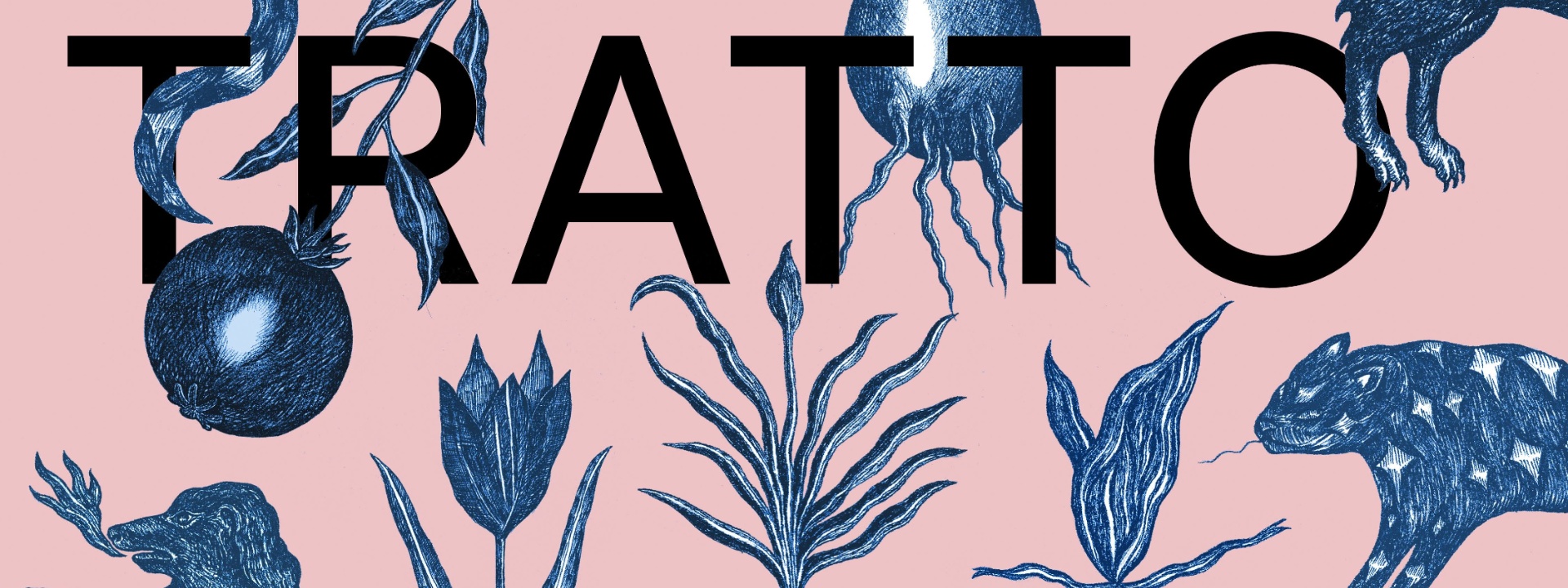 Museo Nivola |TUTTO D’UN TRATTO | Piccolo Festival di Illustrazione