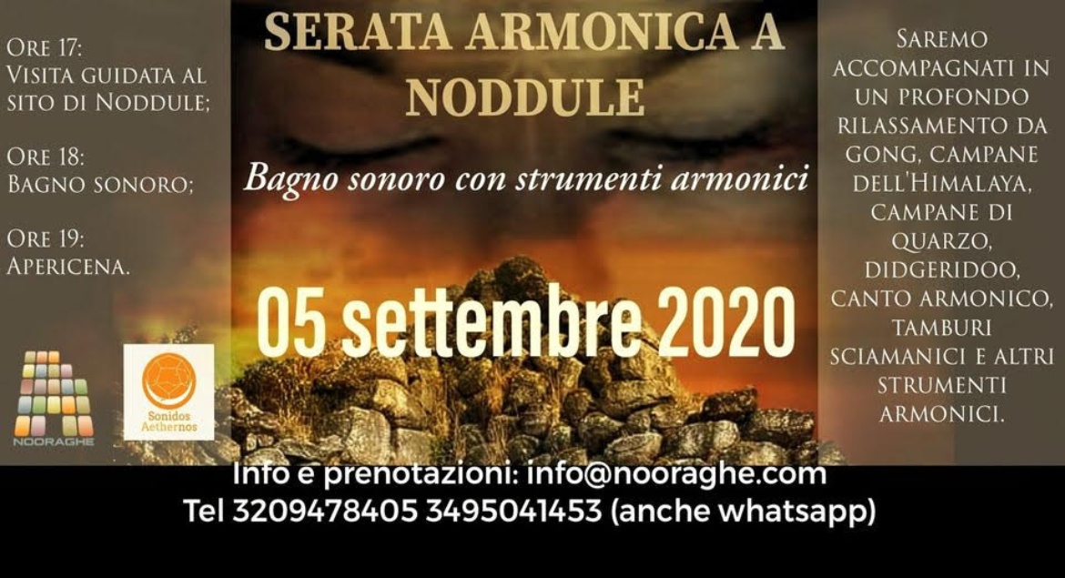 Visualizza la sezione: NODDULE | SERATA ARMONICA