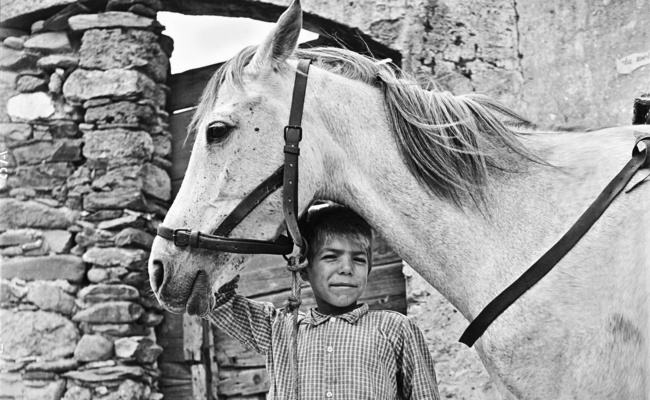 Marianne Sin-Pfältzer, child and horse