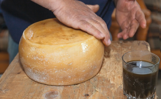 Pecorino-Käse. Su casu axridda (der „Ton“-Käse), zuerst mit Mastixöl eingefettet und dann mit lokalem Ton bedeckt